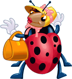 Lovely Ladybug