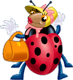Lovely Ladybug